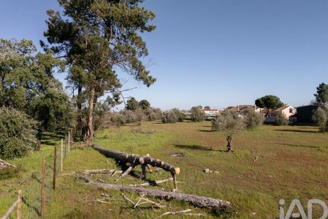 Helårsgrund i Setubal, Setubal, Setubal - € 870.000 | Ref: 837575 - foto 4