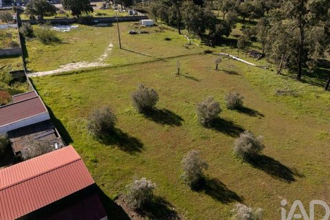 Helårsgrund i Setubal, Setubal, Setubal - € 870.000 | Ref: 837575 - foto 5