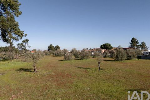Helårsgrund i Setubal, Setubal, Setubal - € 870.000 | Ref: 837575 - foto 6