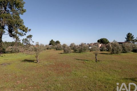 Helårsgrund i Setubal, Setubal, Setubal - € 870.000 | Ref: 837575 - foto 8