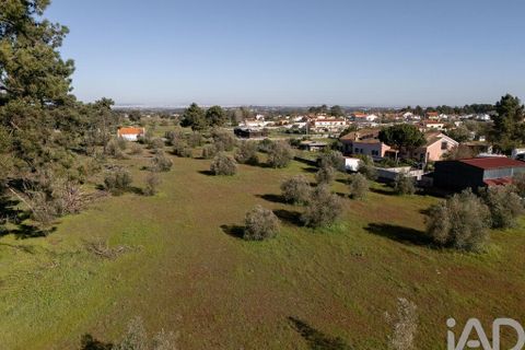 Helårsgrund i Setubal, Setubal, Setubal - € 870.000 | Ref: 837575 - foto 9