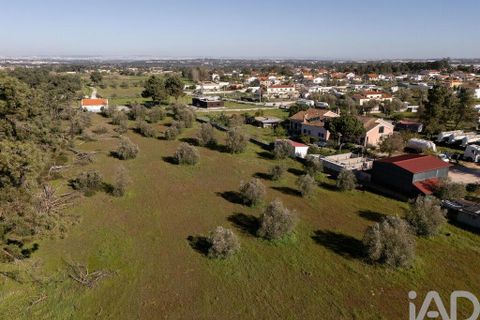 Helårsgrund i Setubal, Setubal, Setubal - € 870.000 | Ref: 837575 - foto 10