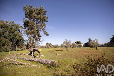 Helårsgrund i Setubal, Setubal, Setubal - € 870.000 | Ref: 837575 - foto 17