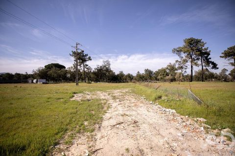 Helårsgrund i Setubal, Setubal, Setubal - € 870.000 | Ref: 837575 - foto 19