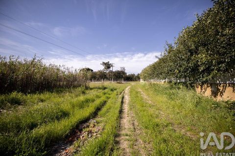 Helårsgrund i Setubal, Setubal, Setubal - € 870.000 | Ref: 837575 - foto 20