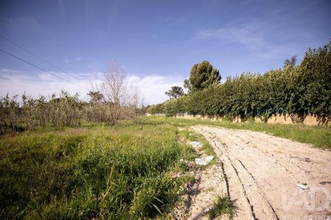 Helårsgrund i Setubal, Setubal, Setubal - € 870.000 | Ref: 837575 - foto 21