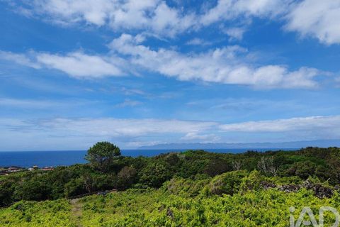 Helårsgrund i Sao Roque do Pico, Pico, Sao Roque do Pico - € 125.000 | Ref: 121735 - foto 2