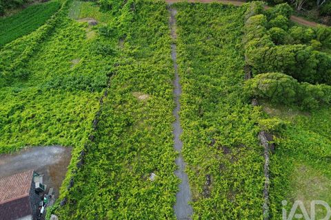 Helårsgrund i Sao Roque do Pico, Pico, Sao Roque do Pico - € 125.000 | Ref: 121735 - foto 3