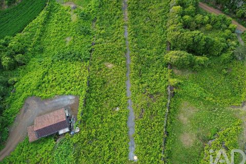Helårsgrund i Sao Roque do Pico, Pico, Sao Roque do Pico - € 125.000 | Ref: 121735 - foto 4