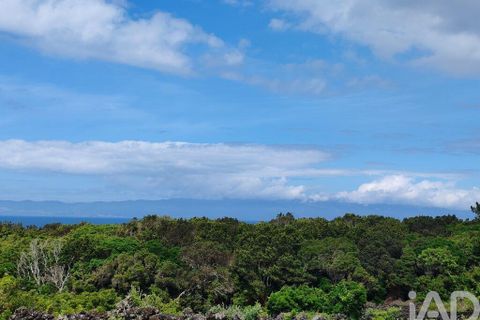 Helårsgrund i Sao Roque do Pico, Pico, Sao Roque do Pico - € 125.000 | Ref: 121735 - foto 5