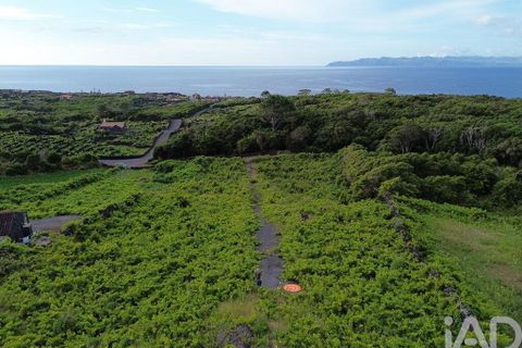 Helårsgrund i Sao Roque do Pico, Pico, Sao Roque do Pico - € 125.000 | Ref: 121735 - foto 6