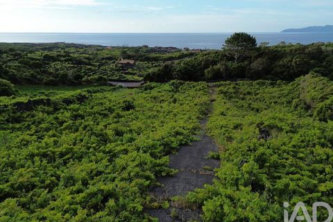 Helårsgrund i Sao Roque do Pico, Pico, Sao Roque do Pico - € 125.000 | Ref: 121735 - foto 7