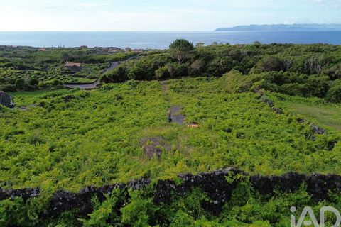 Helårsgrund i Sao Roque do Pico, Pico, Sao Roque do Pico - € 125.000 | Ref: 121735 - foto 8
