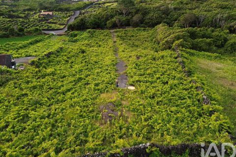 Helårsgrund i Sao Roque do Pico, Pico, Sao Roque do Pico - € 125.000 | Ref: 121735 - foto 9