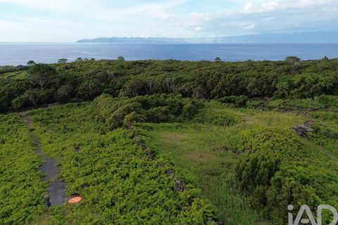 Helårsgrund i Sao Roque do Pico, Pico, Sao Roque do Pico - € 125.000 | Ref: 121735 - foto 10