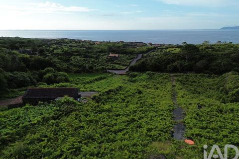 Helårsgrund i Sao Roque do Pico, Pico, Sao Roque do Pico - € 125.000 | Ref: 121735 - foto 11