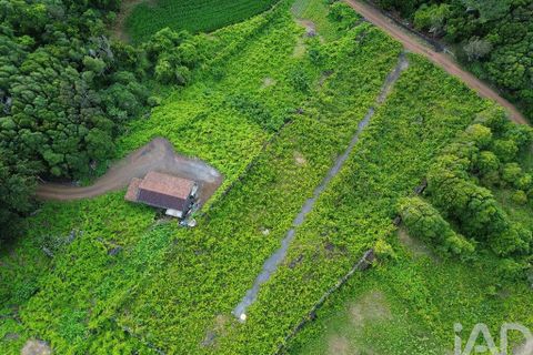 Helårsgrund i Sao Roque do Pico, Pico, Sao Roque do Pico - € 125.000 | Ref: 121735 - foto 13