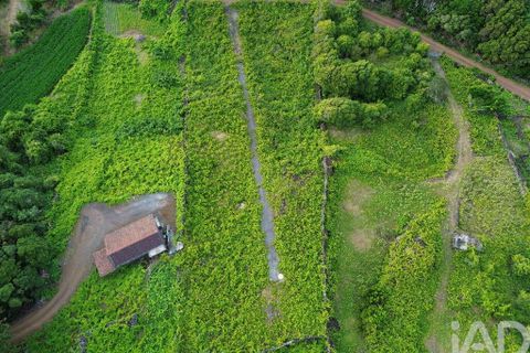Helårsgrund i Sao Roque do Pico, Pico, Sao Roque do Pico - € 125.000 | Ref: 121735 - foto 14