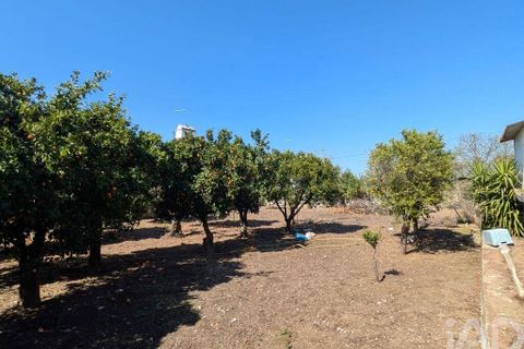 Stadthaus in Estremoz, Evora, Estremoz - € 397.000 | Ref: 854203 - Foto 29