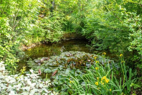 Villa a Cahors, Lot, Cahors - € 625.000 | Ref: WMC577-NH - foto 17