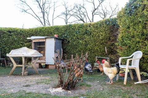 Villa em Bourg-De-Visa, Tarn-et-Garonne, Bourg-De-Visa - € 230.000 | Ref: WMC178-HG - foto 14