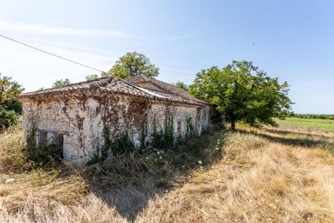 Villa a Bourg-De-Visa, Tarn-et-Garonne, Bourg-De-Visa - € 180.000 | Ref: WMC624-PT - foto 18