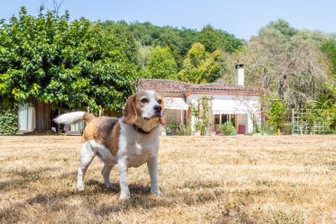 Villa a Saint-Maurin, Lot-et-Garonne, Saint-Maurin - € 345.000 | Ref: WMC625-NH - foto 17