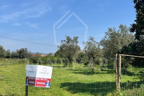 Terra a Turquel, Leiria, Turquel - € 45.000 | Ref: TR1625 - foto 2