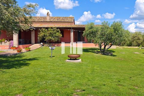 Villa i Roseto degli Abruzzi, Teramo, Roseto degli Abruzzi - € 345.000 | Ref: 914 - foto 13