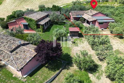 Villa i Roseto degli Abruzzi, Teramo, Roseto degli Abruzzi - € 345.000 | Ref: 914 - foto 19