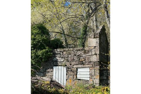 Villa i Penafiel, Porto, Penafiel - € 590.000 | Ref: 7055 - foto 10