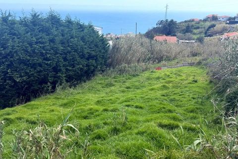 Helårsgrund i Ponta do Sol, Madeira, Ponta do Sol - € 59.000 | Ref: C0216-03315 - foto 4