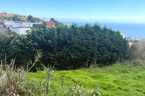 Helårsgrund i Ponta do Sol, Madeira, Ponta do Sol - € 59.000 | Ref: C0216-03315 - foto 5