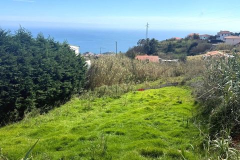 Helårsgrund i Ponta do Sol, Madeira, Ponta do Sol - € 59.000 | Ref: C0216-03315 - foto 7