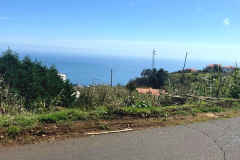 Helårsgrund i Ponta do Sol, Madeira, Ponta do Sol - € 59.000 | Ref: C0216-03315 - foto 9
