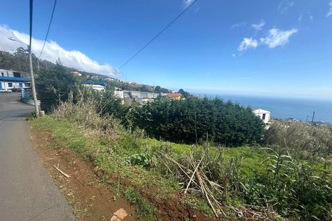 Helårsgrund i Ponta do Sol, Madeira, Ponta do Sol - € 59.000 | Ref: C0216-03315 - foto 10