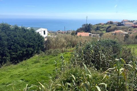 Helårsgrund i Ponta do Sol, Madeira, Ponta do Sol - € 59.000 | Ref: C0216-03315 - foto 11