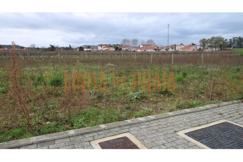 Helårsgrund i Vila do Conde, Porto, Vila do Conde - € 110.000 | Ref: 5591 - foto 2