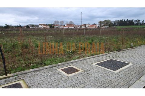 Helårsgrund i Vila do Conde, Porto, Vila do Conde - € 110.000 | Ref: 5591 - foto 3