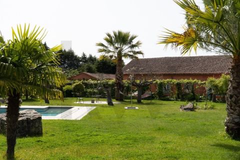 Farm i Miranda do Corvo, Coimbra, Miranda do Corvo - € 1.090.000 | Ref: KWPT-029979 - foto 21