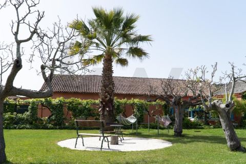 Farm i Miranda do Corvo, Coimbra, Miranda do Corvo - € 1.090.000 | Ref: KWPT-029979 - foto 26