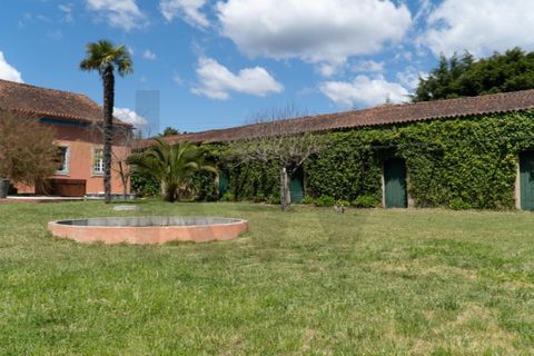 Farm i Miranda do Corvo, Coimbra, Miranda do Corvo - € 1.090.000 | Ref: KWPT-029979 - foto 34