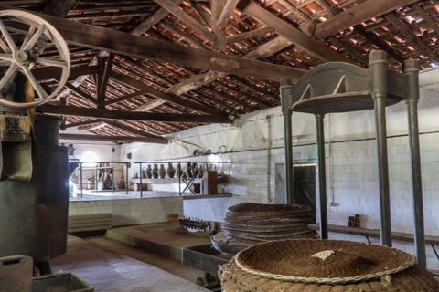 Farm i Miranda do Corvo, Coimbra, Miranda do Corvo - € 1.090.000 | Ref: KWPT-029979 - foto 38