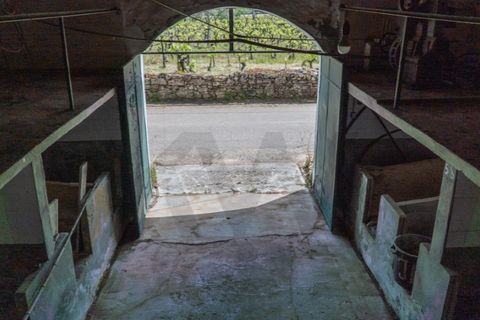 Farm i Miranda do Corvo, Coimbra, Miranda do Corvo - € 1.090.000 | Ref: KWPT-029979 - foto 40