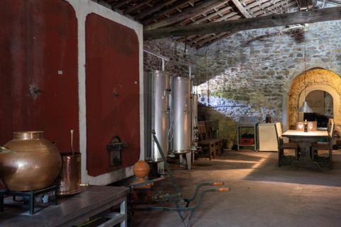 Farm i Miranda do Corvo, Coimbra, Miranda do Corvo - € 1.090.000 | Ref: KWPT-029979 - foto 44