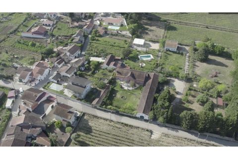 Farm i Miranda do Corvo, Coimbra, Miranda do Corvo - € 1.090.000 | Ref: KWPT-029979 - foto 48
