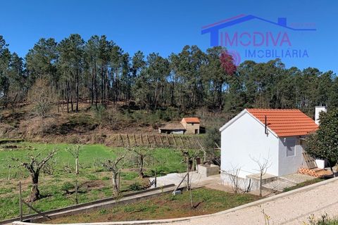 Villa a Serta, Castelo Branco, Serta - € 94.850 | Ref: HV393/0325 - foto 20