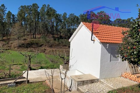 Villa a Serta, Castelo Branco, Serta - € 94.850 | Ref: HV393/0325 - foto 23