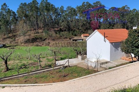 Villa a Serta, Castelo Branco, Serta - € 94.850 | Ref: HV393/0325 - foto 25