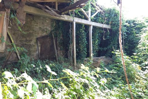 Villa i Granjal, Viseu, Granjal - € 59.000 | Ref: KWPT-015215 - foto 28